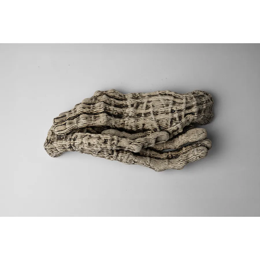 Image of Calm 2 by Liudmyla Davydenko, size: 34х16х11, made of oil/canvas, Sculpture medium, from Lviv, part of the Holova/Head series, priced at €700